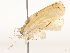  ( - CBG-A67881-E09)  @11 [ ] CreativeCommons - Attribution Share - Alike (2025) CBG Photography Group Centre for Biodiversity Genomics