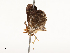  ( - CBG-A67882-F04)  @11 [ ] CreativeCommons - Attribution Share - Alike (2025) CBG Photography Group Centre for Biodiversity Genomics