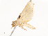  ( - CBG-A67883-F01)  @11 [ ] CreativeCommons - Attribution Share - Alike (2025) CBG Photography Group Centre for Biodiversity Genomics