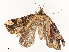  ( - CBG-A67906-C05)  @11 [ ] CreativeCommons - Attribution Share - Alike (2025) CBG Photography Group Centre for Biodiversity Genomics