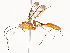  ( - CBG-A67906-H02)  @11 [ ] CreativeCommons - Attribution Share - Alike (2025) CBG Photography Group Centre for Biodiversity Genomics