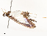  ( - CBG-A67908-C12)  @11 [ ] CreativeCommons - Attribution Share - Alike (2025) CBG Photography Group Centre for Biodiversity Genomics
