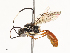  ( - CBG-A67913-C03)  @11 [ ] CreativeCommons - Attribution Share - Alike (2025) CBG Photography Group Centre for Biodiversity Genomics