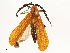  ( - CBG-A67914-D07)  @11 [ ] CreativeCommons - Attribution Share - Alike (2025) CBG Photography Group Centre for Biodiversity Genomics