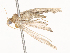  ( - CBG-A67943-B01)  @11 [ ] CreativeCommons - Attribution Share - Alike (2025) CBG Photography Group Centre for Biodiversity Genomics