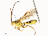  ( - CBG-A65328-G05)  @11 [ ] CreativeCommons - Attribution Share - Alike (2025) CBG Photography Group Centre for Biodiversity Genomics