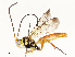  ( - CBG-A67015-C03)  @11 [ ] CreativeCommons - Attribution Share - Alike (2025) CBG Photography Group Centre for Biodiversity Genomics