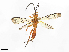  ( - CBG-A67016-F06)  @11 [ ] CreativeCommons - Attribution Share - Alike (2025) CBG Photography Group Centre for Biodiversity Genomics