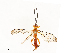  ( - CBG-A67807-B02)  @11 [ ] CreativeCommons - Attribution Share - Alike (2025) CBG Photography Group Centre for Biodiversity Genomics