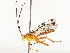  ( - CBG-A67807-B03)  @11 [ ] CreativeCommons - Attribution Share - Alike (2025) CBG Photography Group Centre for Biodiversity Genomics