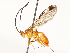  ( - CBG-A67807-F06)  @11 [ ] CreativeCommons - Attribution Share - Alike (2025) CBG Photography Group Centre for Biodiversity Genomics