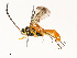  ( - CBG-A67808-E12)  @11 [ ] CreativeCommons - Attribution Share - Alike (2025) CBG Photography Group Centre for Biodiversity Genomics
