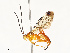  ( - CBG-A67839-A07)  @11 [ ] CreativeCommons - Attribution Share - Alike (2025) CBG Photography Group Centre for Biodiversity Genomics