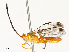  ( - CBG-A67839-A11)  @11 [ ] CreativeCommons - Attribution Share - Alike (2025) CBG Photography Group Centre for Biodiversity Genomics