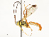  ( - CBG-A67839-B04)  @11 [ ] CreativeCommons - Attribution Share - Alike (2025) CBG Photography Group Centre for Biodiversity Genomics