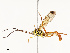  ( - CBG-A67861-H04)  @11 [ ] CreativeCommons - Attribution Share - Alike (2025) CBG Photography Group Centre for Biodiversity Genomics