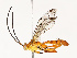  ( - CBG-A69577-A01)  @11 [ ] CreativeCommons - Attribution Share - Alike (2025) CBG Photography Group Centre for Biodiversity Genomics
