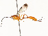  ( - CBG-A69613-C07)  @11 [ ] CreativeCommons - Attribution Share - Alike (2025) CBG Photography Group Centre for Biodiversity Genomics