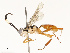 ( - CBG-A67840-E12)  @11 [ ] CreativeCommons - Attribution Share - Alike (2025) CBG Photography Group Centre for Biodiversity Genomics