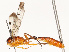  ( - CBG-A67872-G03)  @11 [ ] CreativeCommons - Attribution Share - Alike (2025) CBG Photography Group Centre for Biodiversity Genomics