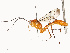 ( - CBG-A69615-B10)  @11 [ ] CreativeCommons - Attribution Share - Alike (2025) CBG Photography Group Centre for Biodiversity Genomics
