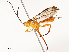  ( - CBG-A69621-H06)  @11 [ ] CreativeCommons - Attribution Share - Alike (2025) CBG Photography Group Centre for Biodiversity Genomics