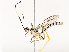  ( - CBG-B12450-B05)  @11 [ ] CreativeCommons - Attribution Share - Alike (2025) CBG Photography Group Centre for Biodiversity Genomics