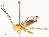  ( - CBG-B12450-B10)  @11 [ ] CreativeCommons - Attribution Share - Alike (2025) CBG Photography Group Centre for Biodiversity Genomics
