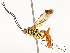 ( - CBG-B12450-D06)  @11 [ ] CreativeCommons - Attribution Share - Alike (2025) CBG Photography Group Centre for Biodiversity Genomics