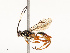  ( - CBG-A72921-C07)  @11 [ ] CreativeCommons - Attribution Share - Alike (2025) CBG Photography Group Centre for Biodiversity Genomics