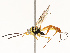  ( - CBG-A72921-C10)  @11 [ ] CreativeCommons - Attribution Share - Alike (2025) CBG Photography Group Centre for Biodiversity Genomics