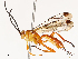  ( - CBG-A72922-A01)  @11 [ ] CreativeCommons - Attribution Share - Alike (2025) CBG Photography Group Centre for Biodiversity Genomics