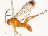  ( - CBG-A72922-A04)  @11 [ ] CreativeCommons - Attribution Share - Alike (2025) CBG Photography Group Centre for Biodiversity Genomics