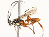  ( - CBG-A72922-B11)  @11 [ ] CreativeCommons - Attribution Share - Alike (2025) CBG Photography Group Centre for Biodiversity Genomics