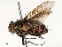  ( - CBG-A72922-H11)  @11 [ ] CreativeCommons - Attribution Share - Alike (2025) CBG Photography Group Centre for Biodiversity Genomics