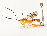  ( - CBG-B12661-E02)  @11 [ ] CreativeCommons - Attribution Share - Alike (2025) CBG Photography Group Centre for Biodiversity Genomics