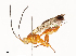  ( - CBG-B13781-C02)  @11 [ ] CreativeCommons - Attribution Share - Alike (2025) CBG Photography Group Centre for Biodiversity Genomics