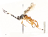  ( - CBG-B13781-E12)  @11 [ ] CreativeCommons - Attribution Share - Alike (2025) CBG Photography Group Centre for Biodiversity Genomics