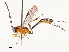  ( - CBG-B13895-B05)  @11 [ ] CreativeCommons - Attribution Share - Alike (2025) CBG Photography Group Centre for Biodiversity Genomics