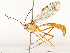  ( - CBG-B13896-E04)  @11 [ ] CreativeCommons - Attribution Share - Alike (2025) CBG Photography Group Centre for Biodiversity Genomics