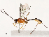  ( - CBG-B15175-A10)  @11 [ ] CreativeCommons - Attribution Share - Alike (2025) CBG Photography Group Centre for Biodiversity Genomics
