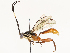  ( - CBG-B15175-G01)  @11 [ ] CreativeCommons - Attribution Share - Alike (2025) CBG Photography Group Centre for Biodiversity Genomics