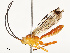  ( - CBG-B11794-C04)  @11 [ ] CreativeCommons - Attribution Share - Alike (2025) CBG Photography Group Centre for Biodiversity Genomics