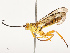  ( - CBG-B11794-E03)  @11 [ ] CreativeCommons - Attribution Share - Alike (2025) CBG Photography Group Centre for Biodiversity Genomics