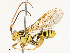  ( - CBG-B11794-E06)  @11 [ ] CreativeCommons - Attribution Share - Alike (2025) CBG Photography Group Centre for Biodiversity Genomics