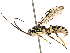  ( - CBG-B12236-E07)  @11 [ ] CreativeCommons - Attribution Share - Alike (2025) CBG Photography Group Centre for Biodiversity Genomics