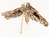  ( - CBG-B13473-G04)  @11 [ ] CreativeCommons - Attribution Share - Alike (2025) CBG Photography Group Centre for Biodiversity Genomics