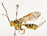  ( - CBG-B13570-E02)  @11 [ ] CreativeCommons - Attribution Share - Alike (2025) CBG Photography Group Centre for Biodiversity Genomics
