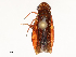  ( - CBG-B13790-B04)  @11 [ ] CreativeCommons - Attribution Share - Alike (2025) CBG Photography Group Centre for Biodiversity Genomics