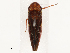  ( - CBG-B13790-B06)  @11 [ ] CreativeCommons - Attribution Share - Alike (2025) CBG Photography Group Centre for Biodiversity Genomics